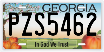 GA license plate PZS5462