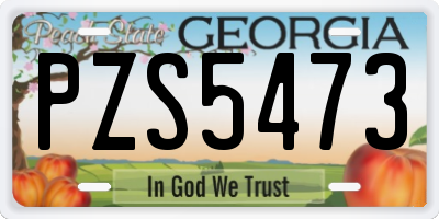 GA license plate PZS5473