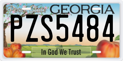 GA license plate PZS5484