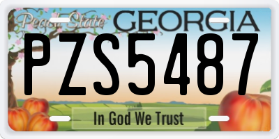 GA license plate PZS5487