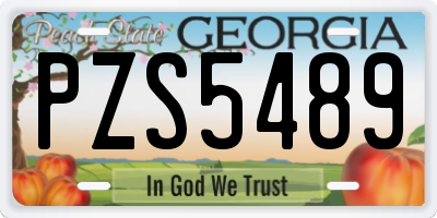 GA license plate PZS5489