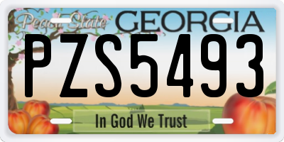 GA license plate PZS5493