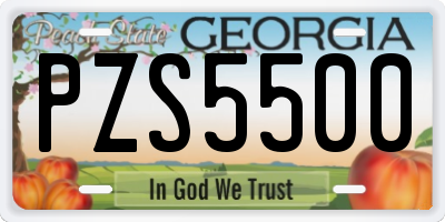 GA license plate PZS5500