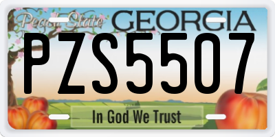 GA license plate PZS5507