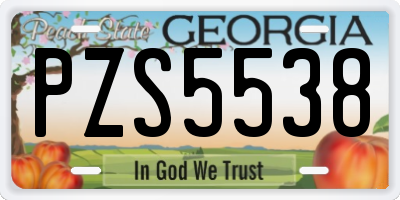 GA license plate PZS5538