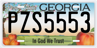 GA license plate PZS5553