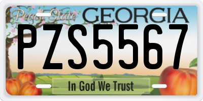 GA license plate PZS5567