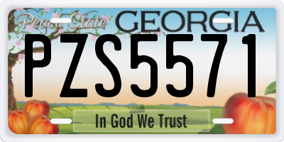 GA license plate PZS5571