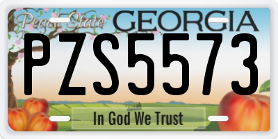 GA license plate PZS5573
