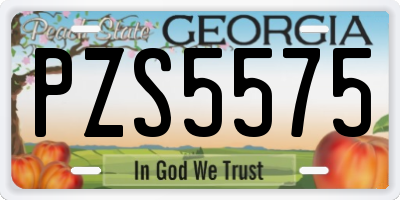 GA license plate PZS5575