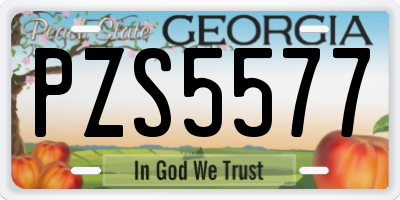 GA license plate PZS5577