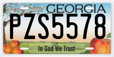 GA license plate PZS5578
