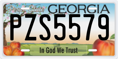 GA license plate PZS5579
