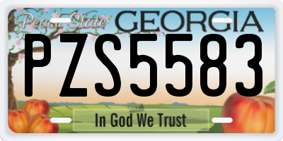 GA license plate PZS5583