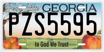 GA license plate PZS5595