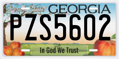 GA license plate PZS5602