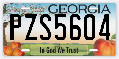 GA license plate PZS5604