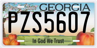 GA license plate PZS5607