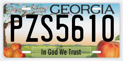 GA license plate PZS5610