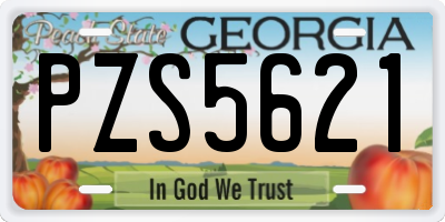 GA license plate PZS5621