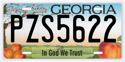 GA license plate PZS5622