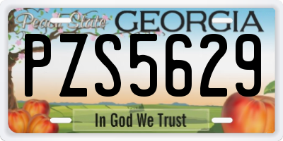 GA license plate PZS5629