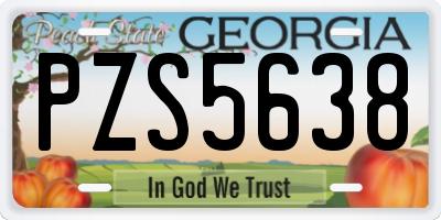 GA license plate PZS5638