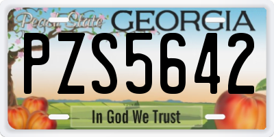 GA license plate PZS5642