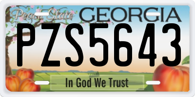 GA license plate PZS5643