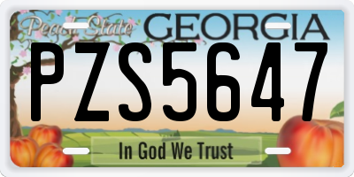 GA license plate PZS5647