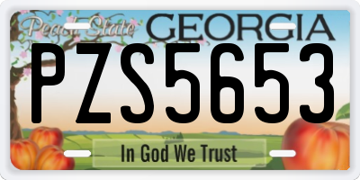 GA license plate PZS5653