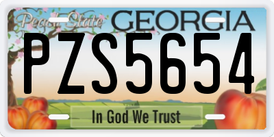 GA license plate PZS5654