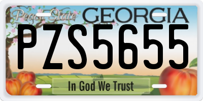 GA license plate PZS5655