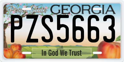 GA license plate PZS5663