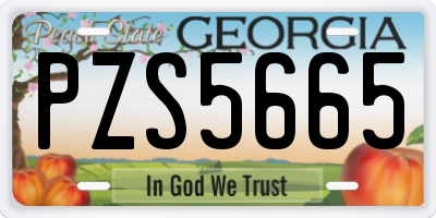 GA license plate PZS5665