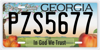 GA license plate PZS5677