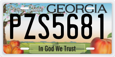 GA license plate PZS5681