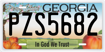 GA license plate PZS5682