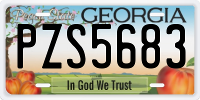 GA license plate PZS5683