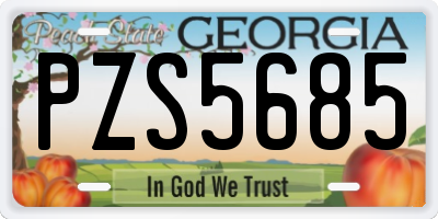 GA license plate PZS5685