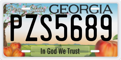 GA license plate PZS5689