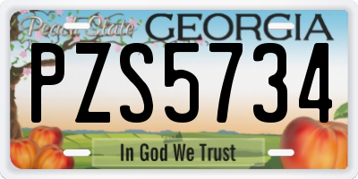 GA license plate PZS5734