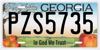 GA license plate PZS5735