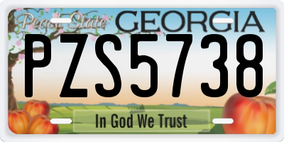 GA license plate PZS5738