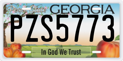 GA license plate PZS5773