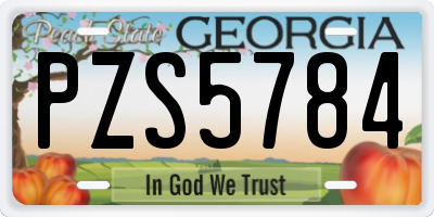 GA license plate PZS5784
