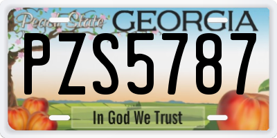 GA license plate PZS5787