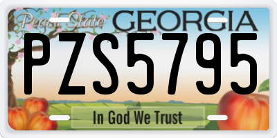 GA license plate PZS5795