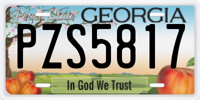 GA license plate PZS5817