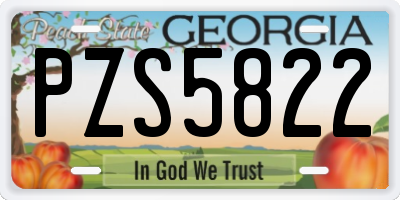 GA license plate PZS5822